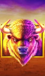 Buffalo King