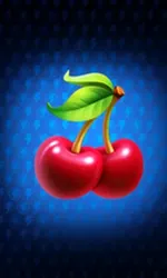 Fortune Power: Hold & Win